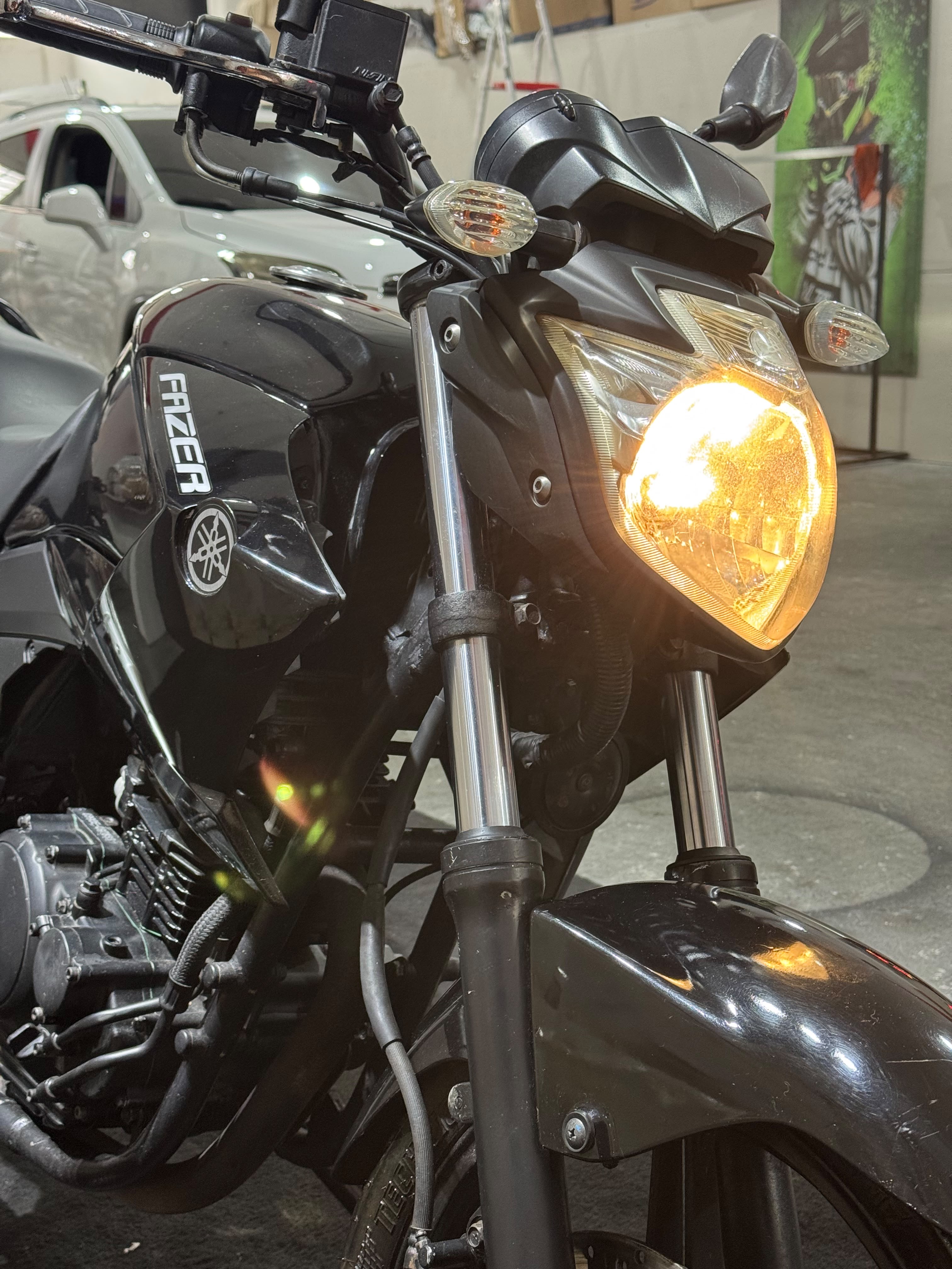 Yamaha Fazer 250 YS 250 Fazer