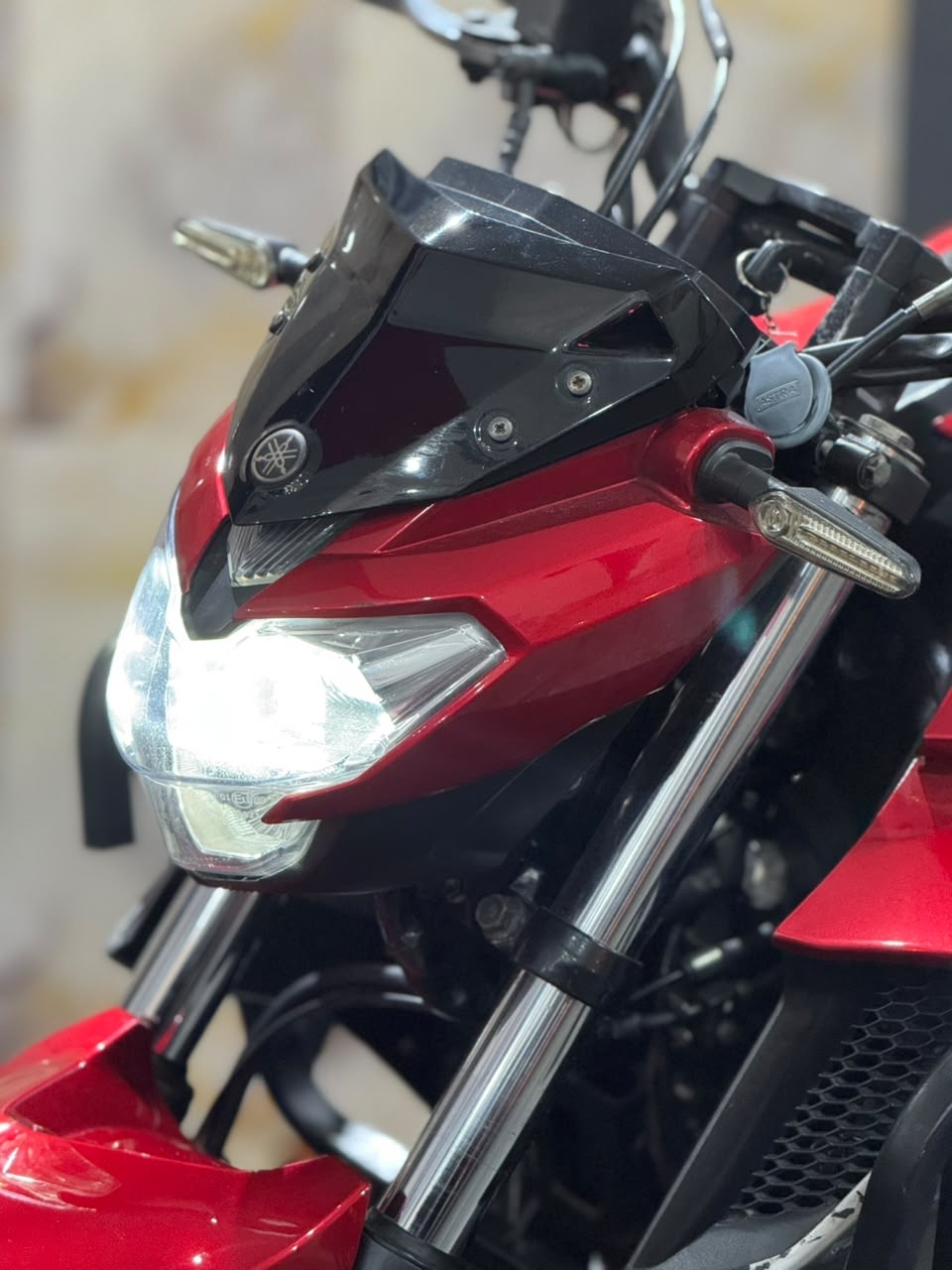 Yamaha FZ25 Fazer 250 FZ25 Flex